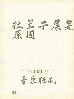 拉羊子屎是什么原因