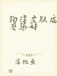 狗得皮肤病擦什么药好