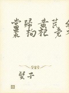 当归 黄芪 红枣 枸杞 党参