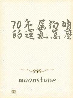 70年属狗明天的运气怎么样