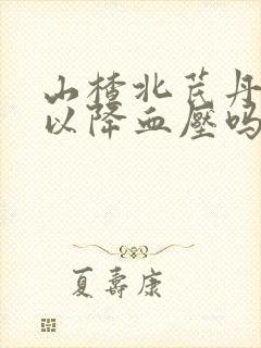 山楂北芪丹参可以降血压吗?
