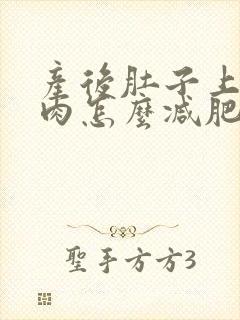 产后肚子上的赘肉怎么减肥