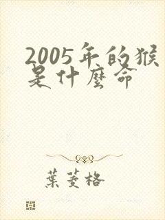 2005年的猴是什么命