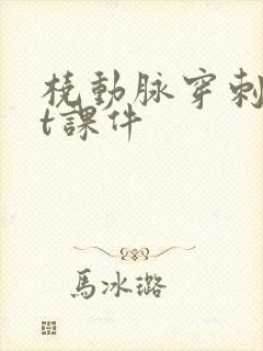 桡动脉穿刺ppt课件