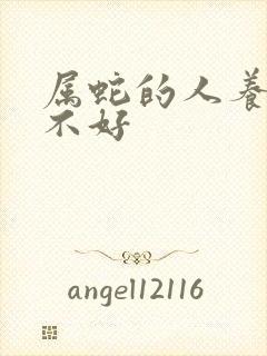 属蛇的人养狗好不好