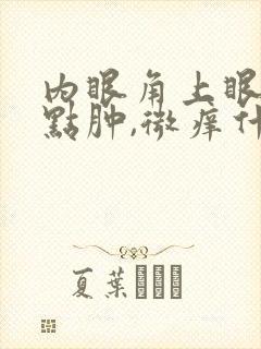 内眼角上眼皮有点肿,微痒什么原因