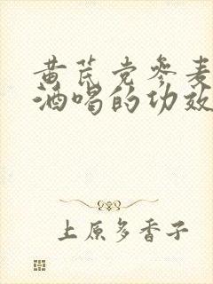黄芪党参麦冬泡酒喝的功效封面