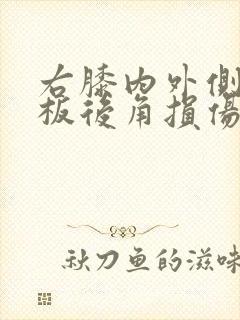 右膝内外侧半月板后角损伤1度封面