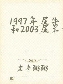 1997年属牛和2003属羊相配吗