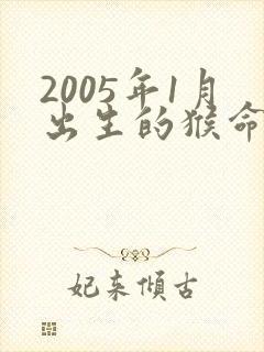 2005年1月出生的猴命运怎样封面