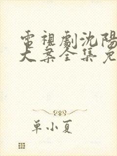 电视剧沈阳三八大案全集免费播放