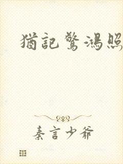 犹记惊鸿照影封面