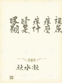 眼睛痒痒视力模糊是什么原因引起的