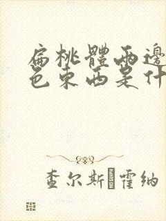 扁桃体两边有白色东西是什么