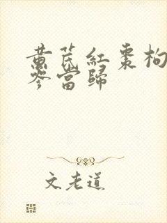 黄芪红枣枸杞党参当归