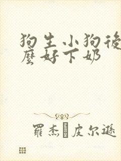 狗生小狗后吃什么好下奶