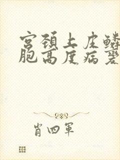 宫颈上皮鳞状细胞高度病变封面