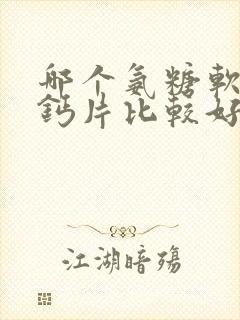 哪个氨糖软骨素钙片比较好