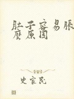 肚子容易胀气什么原因
