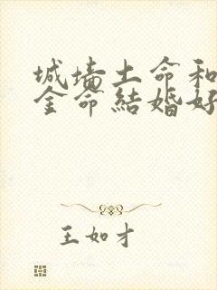 城墙土命和白蜡金命结婚好吗封面