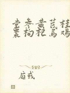 党参黄芪桂圆红枣枸杞乌鸡汤