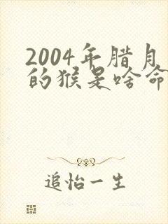 2004年腊月的猴是啥命封面