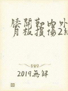膝关节内外侧半月板损伤2级