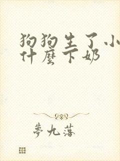 狗狗生了小狗吃什么下奶