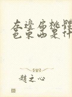左边扁桃体有白色东西是什么
