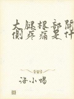大腿根部关节外侧疼痛是什么原因