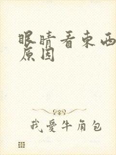 眼睛看东西模糊原因