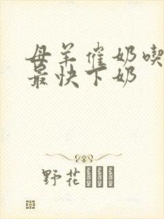 母羊催奶吃什么最快下奶