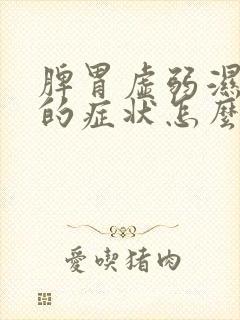 脾胃虚弱湿气重的症状怎么调理
