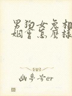 男狗女兔相配婚姻会怎么样