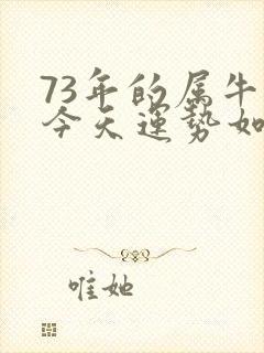 73年的属牛男今天运势如何