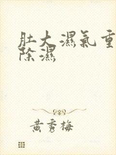 肚大湿气重怎么除湿
