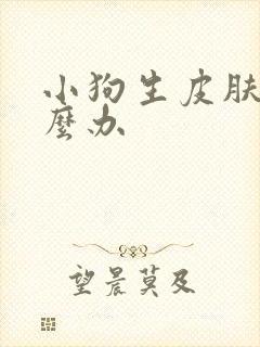 小狗生皮肤病怎么办