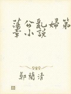荡公乱妇第51章小说