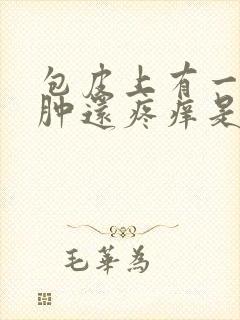 包皮上有一块红肿还疼痒是怎么回事封面