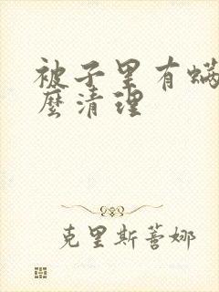 被子里有螨虫怎么清理