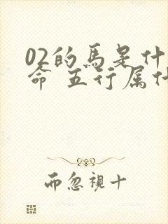 02的马是什么命 五行属什么