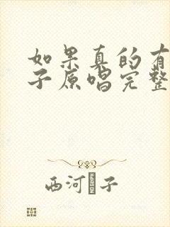 如果真的有下辈子原唱完整版