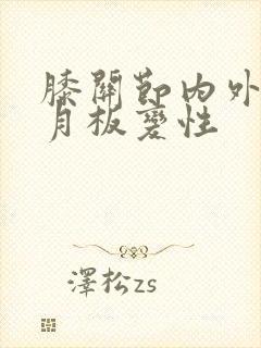 膝关节内外侧半月板变性封面