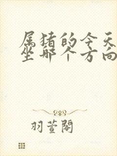 属猪的今天打牌坐哪个方向封面
