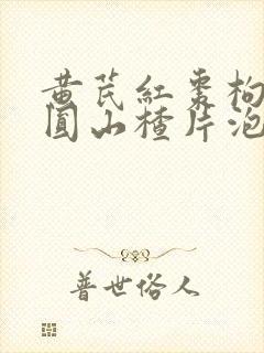 黄芪红枣枸杞桂圆山楂片泡水喝有什么好处封面