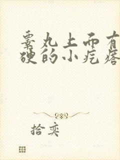 睾丸上面有个硬硬的小疙瘩,而且疼