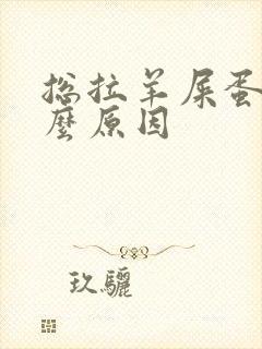 总拉羊屎蛋是什么原因