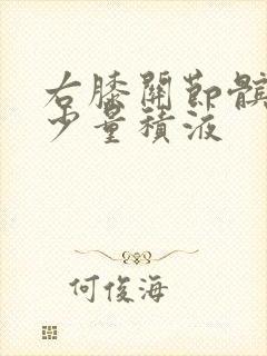 右膝关节髌上囊少量积液