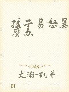 孩子易怒暴躁怎么办封面
