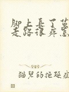 脚上长了茧子 走路很疼怎么办封面
